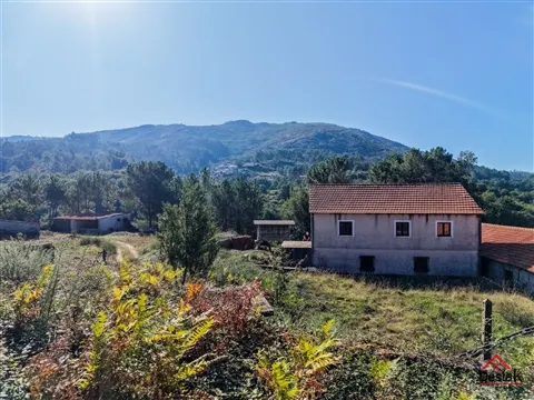 img_1