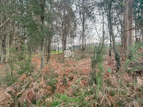 Piece of Real Estate