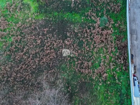 Lote de terreno 554 m² - Cavalões