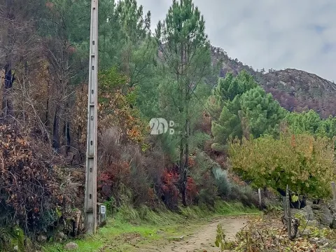 Terreno 15.844m² - Távora