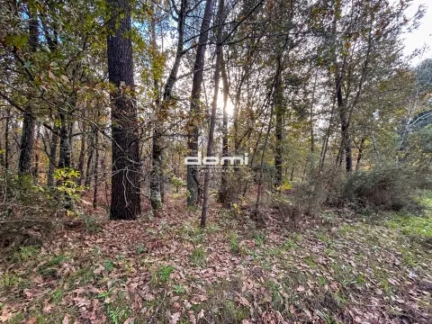  Pinhal com 5.773m² em Arcozelo - São Pedro do Sul