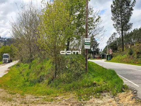  Pinhal com 2165m² em Arcozelo - São Pedro do Sul