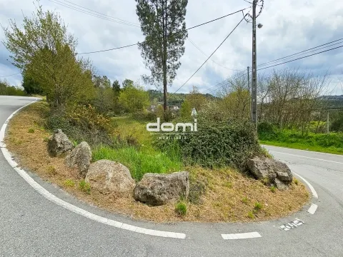  Pinhal com 2165m² em Arcozelo - São Pedro do Sul