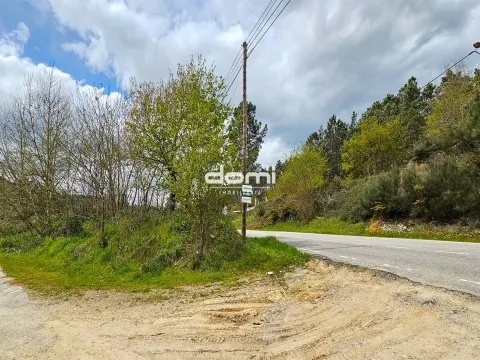  Pinhal com 2165m² em Arcozelo - São Pedro do Sul