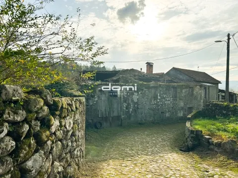 Quinta com 33.250 m² em Tabuadelo – São Pedro do Sul