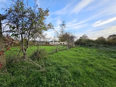 Moradia em pedra para reabilitar com grande potencial em Mourel, Carvalhais