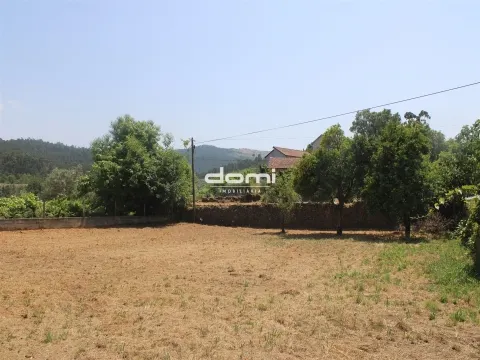 Terreno com Viabilidade de Construção em Vila Chã, Oliveira de Frades