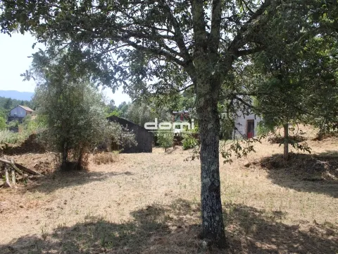 Terreno com Viabilidade de Construção em Vila Chã, Oliveira de Frades