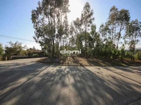 Terreno com viabilidade de construção em Oliveira de Frades