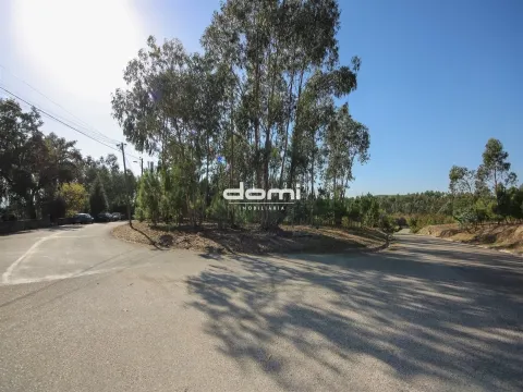 Terreno com viabilidade de construção em Oliveira de Frades