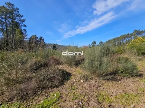 🌲 Terreno com 1.059 m² no Paraíso – Arcozelo - São Pedro do Sul