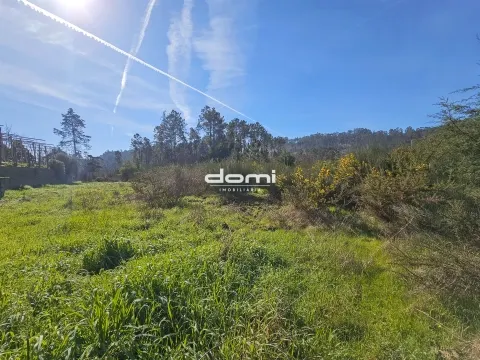 🌿 Terreno Rústico 1.166,80 m² – Paraíso, Arcozelo, São Pedro do Sul
