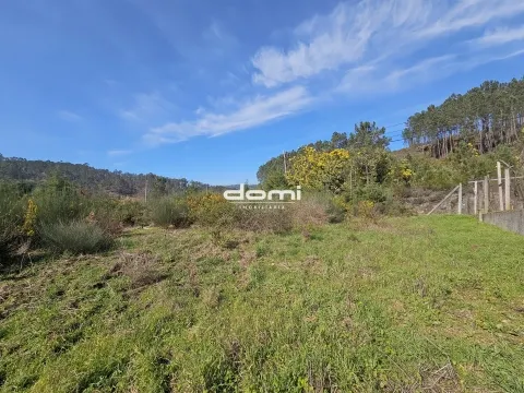 🌿 Terreno Rústico 1.166,80 m² – Paraíso, Arcozelo, São Pedro do Sul