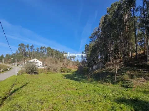 🌿 Terreno com Viabilidade de Construção, nas Termas - São Pedro do Sul