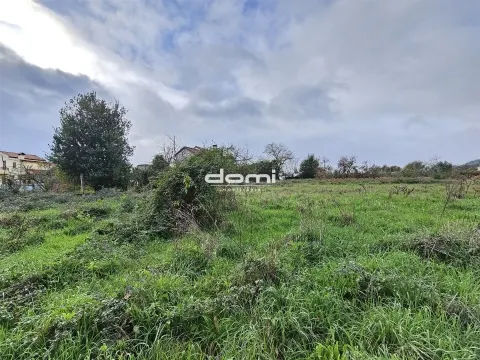 gemischtes Grundstück