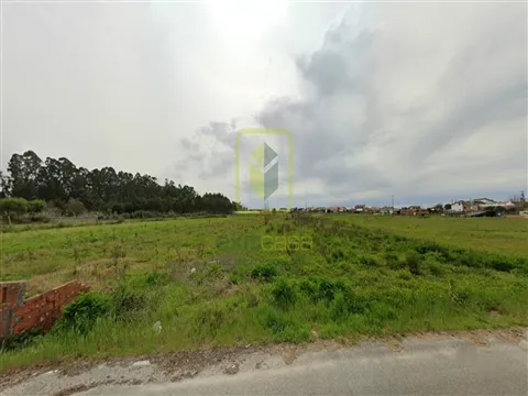 Terrain rural