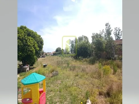 Terreno para Construção em Eixo