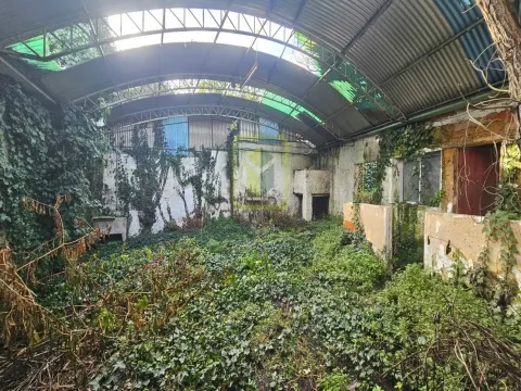 Moradia Térrea em Eixo