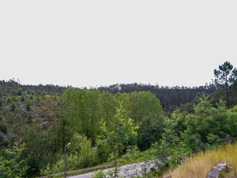 Terreno Urbano