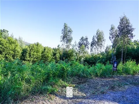 img_6