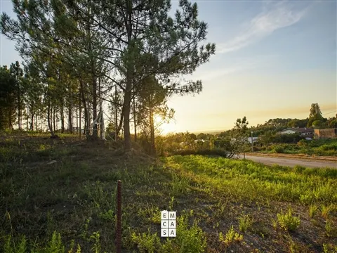 Lote de Terreno
