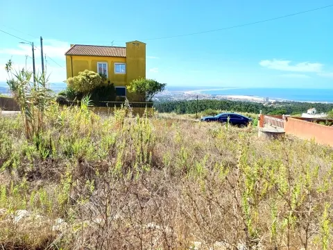 Городской участок