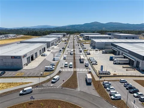 img_25