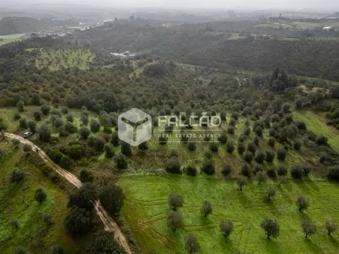 Terreno Misto T3
