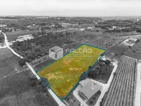 img_24