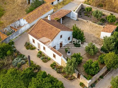 img_7