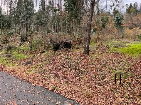 Terreno Para Construção
