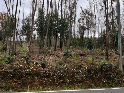 Terreno Para Construção