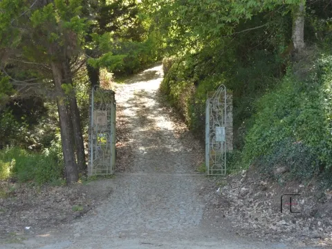 Quinta T4