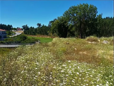 Terreno Para Construção com 2.400 m² - 4 Frentes | Azurara, Vila do Conde