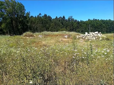 Terreno Para Construção com 2.400 m² - 4 Frentes | Azurara, Vila do Conde