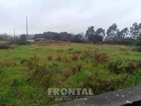 Terreno para Construção – 7.000 m² | Rio Tinto, Gondomar