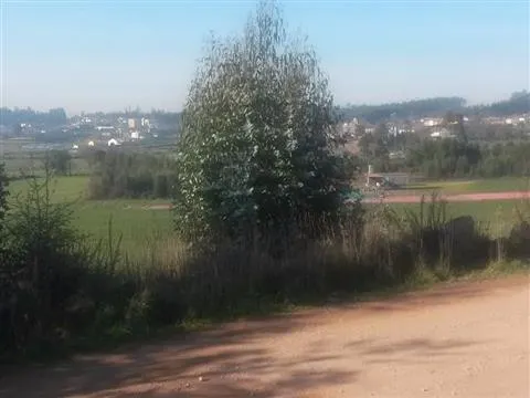 Terreno com 8.000 m² | São Romão Do Coronado, Trofa