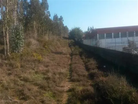 Terreno com 8.000 m² | São Romão Do Coronado, Trofa