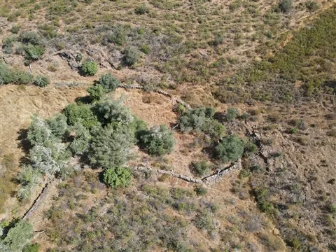 Terrain rural