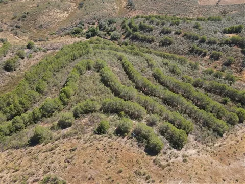 Terrain rural