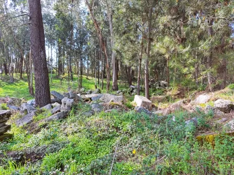 Terreno Para Construcción