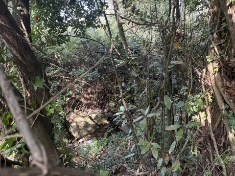 Terreno Para Construção