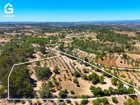 Quinta T1