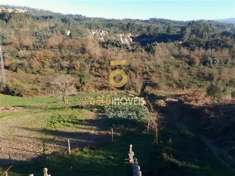 Quinta para restauro em Cabeça Santa - Penafiel