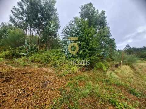 Terreno Para Construção