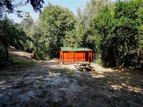Terrain rural