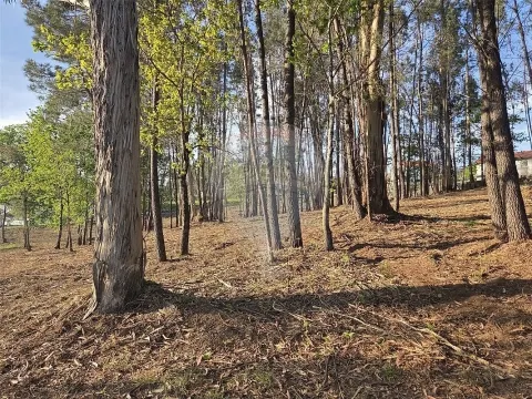 Terreno  para venda