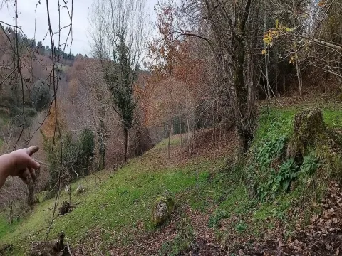 Terreno  para venda