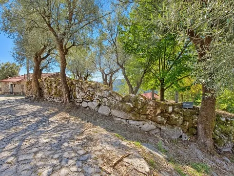 Terreno  para venda