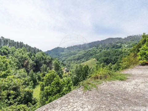 img_33